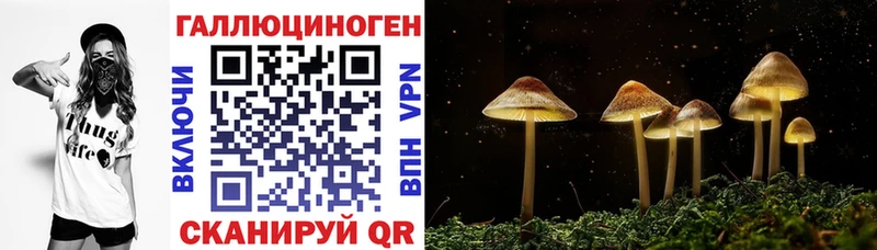 Галлюциногенные грибы GOLDEN TEACHER где купить наркоту Дмитров
