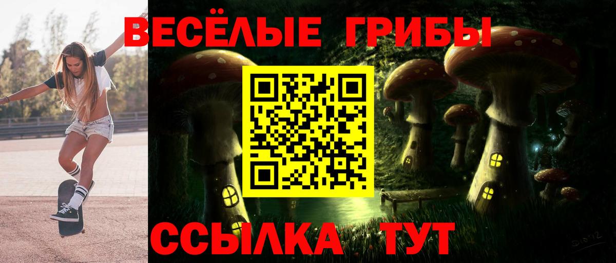 Галлюциногенные грибы GOLDEN TEACHER Дмитров