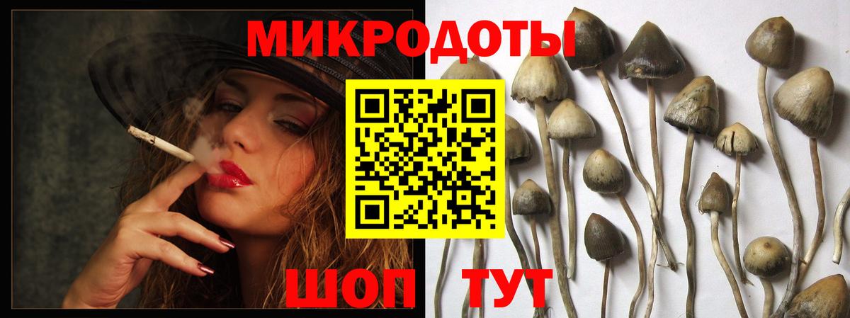 купить  сайты  Вход с VPN  Дмитров  Галлюциногенные грибы Psilocybine cubensis 